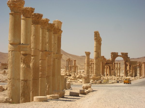 Palmyra (29)