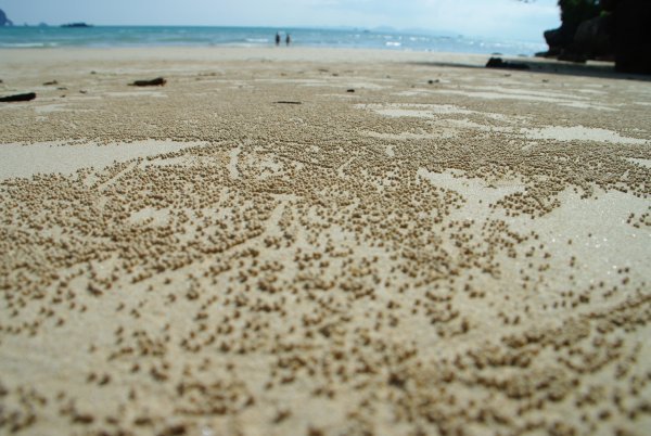 Raileh Beach, Krabi