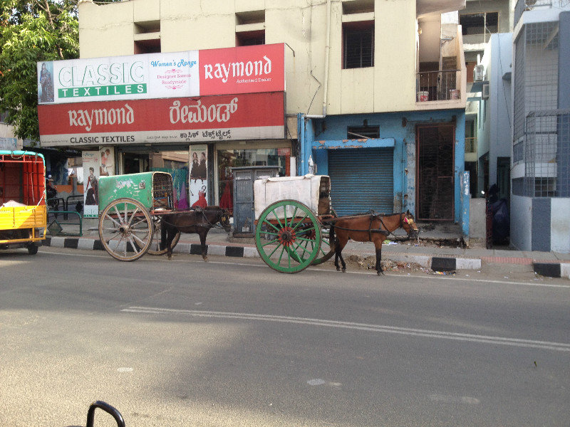 Mule and Carriage