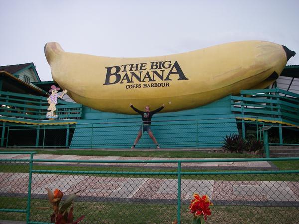 Alorra Banana