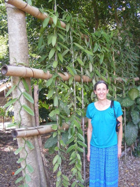 Patty with Vanilla plants