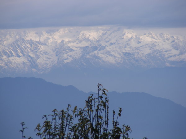 Mt Khanchenjunga from Rishyap