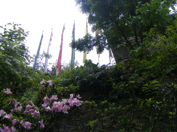 Prayer Flags at our Guest House