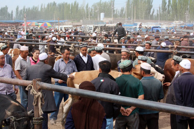 Kashgar Sunday Animal Market