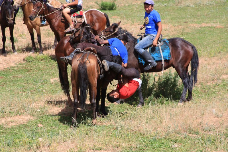 Kyzyl-Oi  - Blue rider wins 