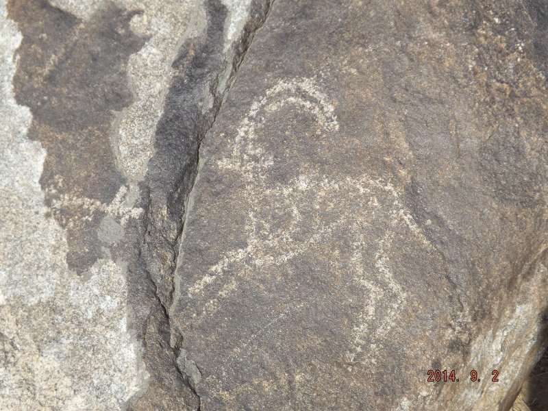 Cholpon Ata - Ibex petroglyphs 