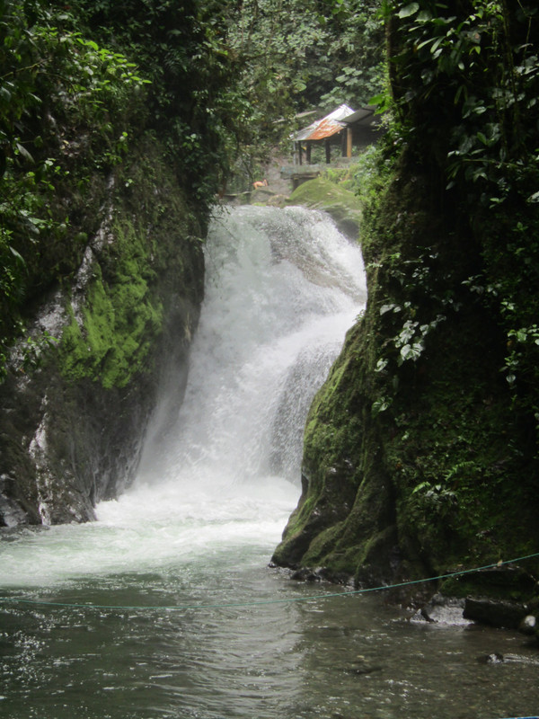 Cloud Forest Waterfall Near Mindo