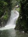 Cloud Forest Waterfall Near Mindo