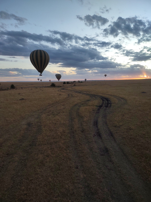 Hot Air Balloons at Dawn