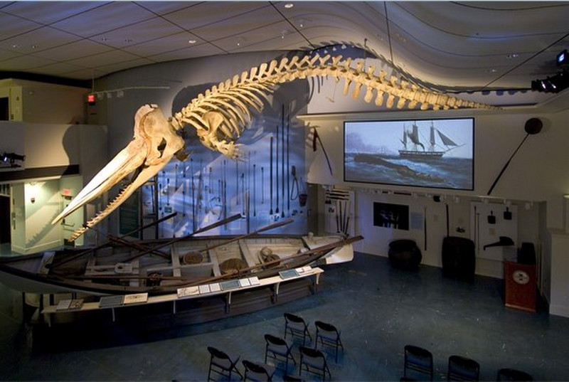 Whale Skeleton af the Nantucket Whaling Museum