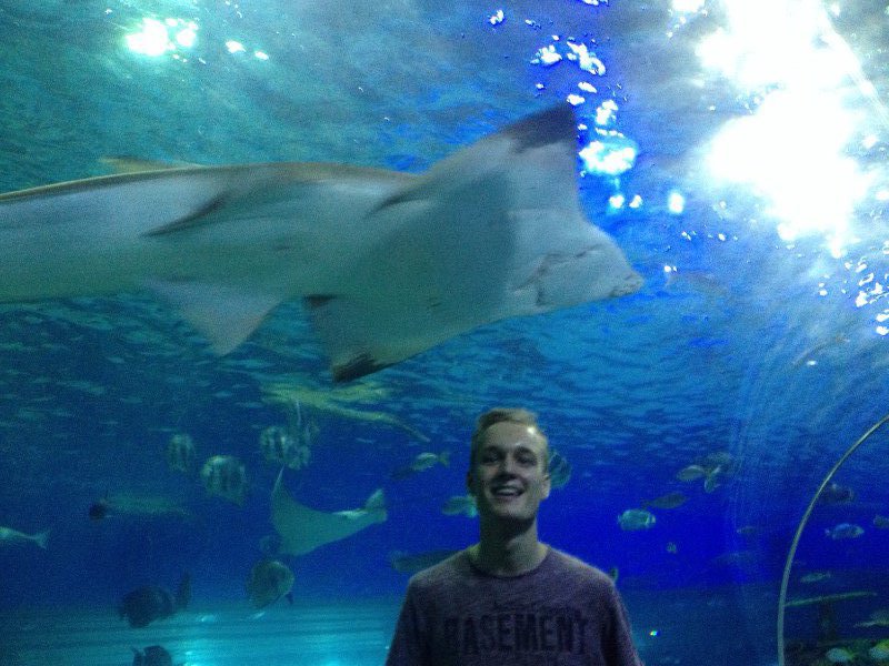 Ik en mijn haai!