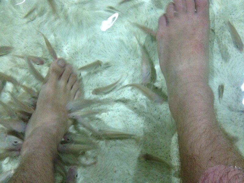 Met de voeten tussen de vissen