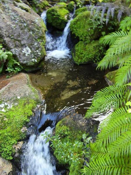 Waterfall in Abel Tasman.