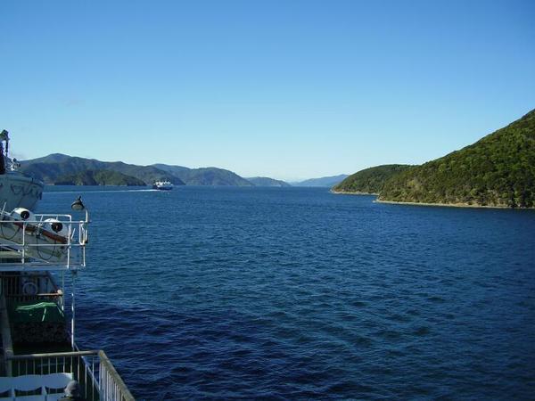 View from the ferry on the way to Wellington.