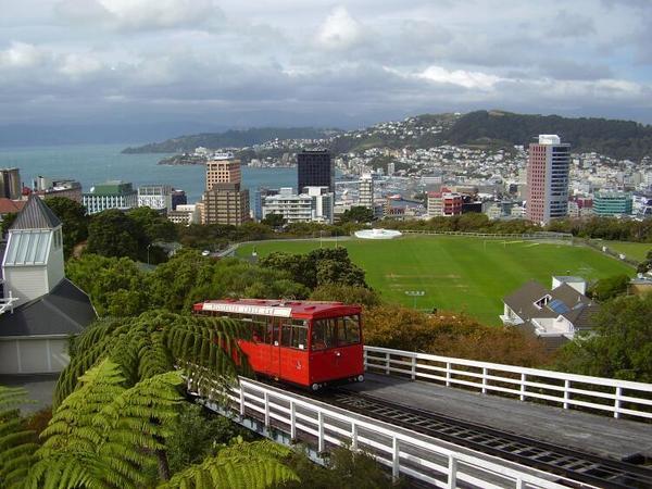 Overlooking the city of Wellington after our ride on the cable car.