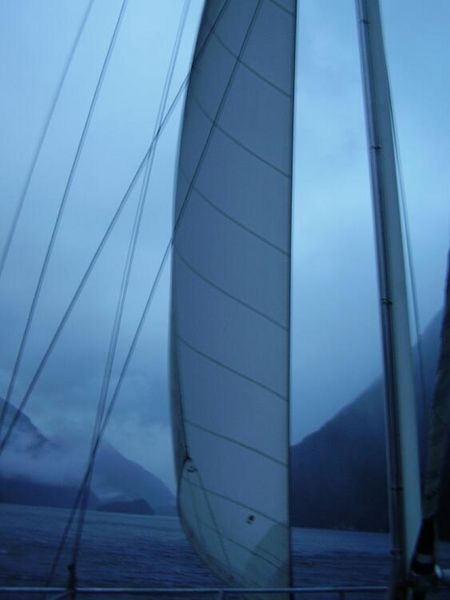 The sails and Doubtful Sound.