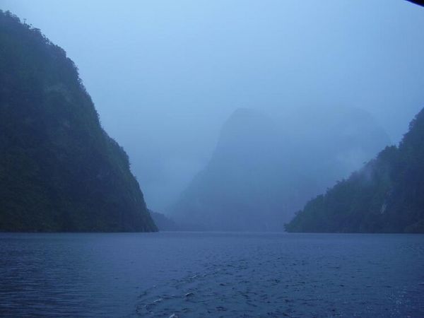The mist of Doubtful Sound.
