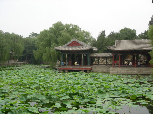Pond in the Summer Palace