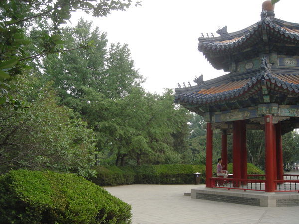Chinese Architecture in the Park