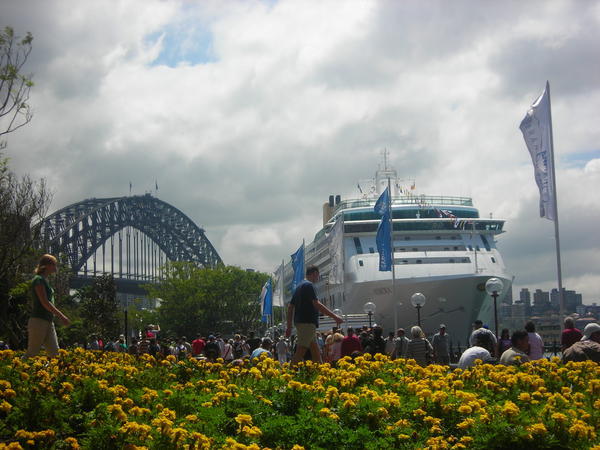 The harbour Bridge & a massive cruise ship that was docked in the harbour