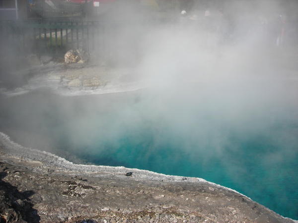 Steaming pool in the Maori village