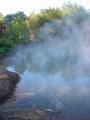 Steaming pools in a park in the middle of Rotorua