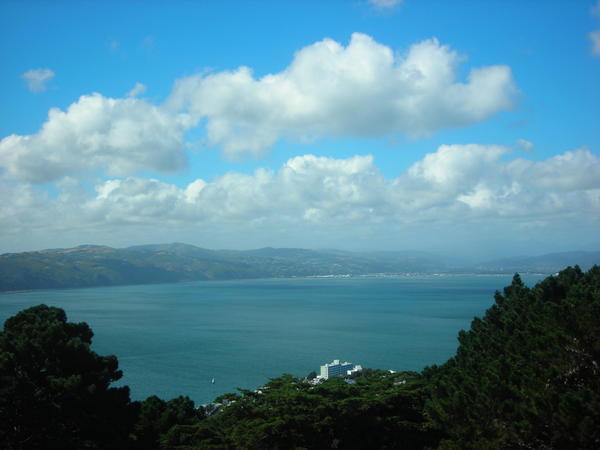Bays near Wellington