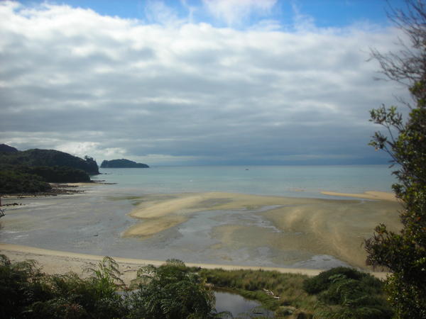 The coastline of the Abel Tasman National Park