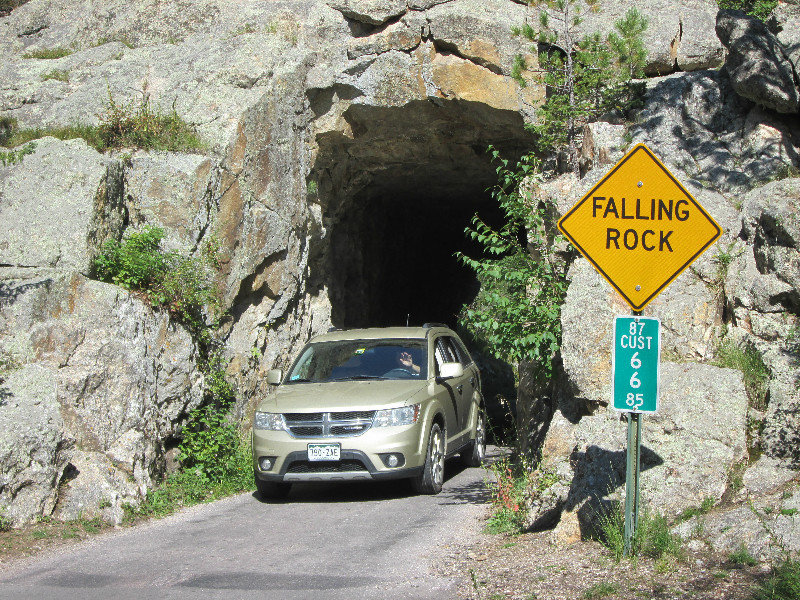 Iron Mountain Road plus Needles Highway, Custer State Park