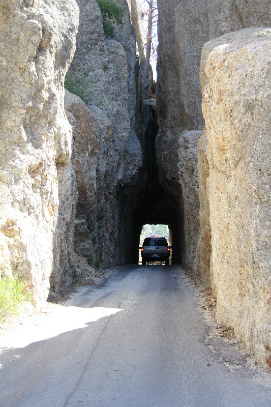 Iron Mountain Road plus Needles Highway, Custer State Park