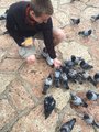Dave feeding pigeons