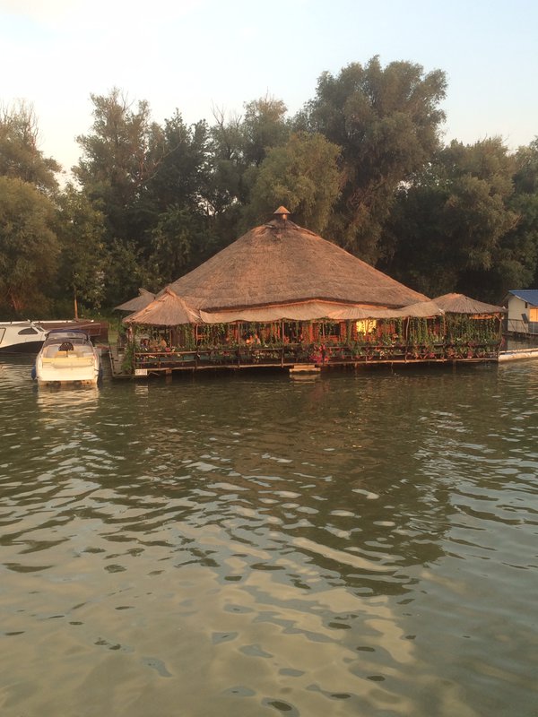 A tropical-themed barge