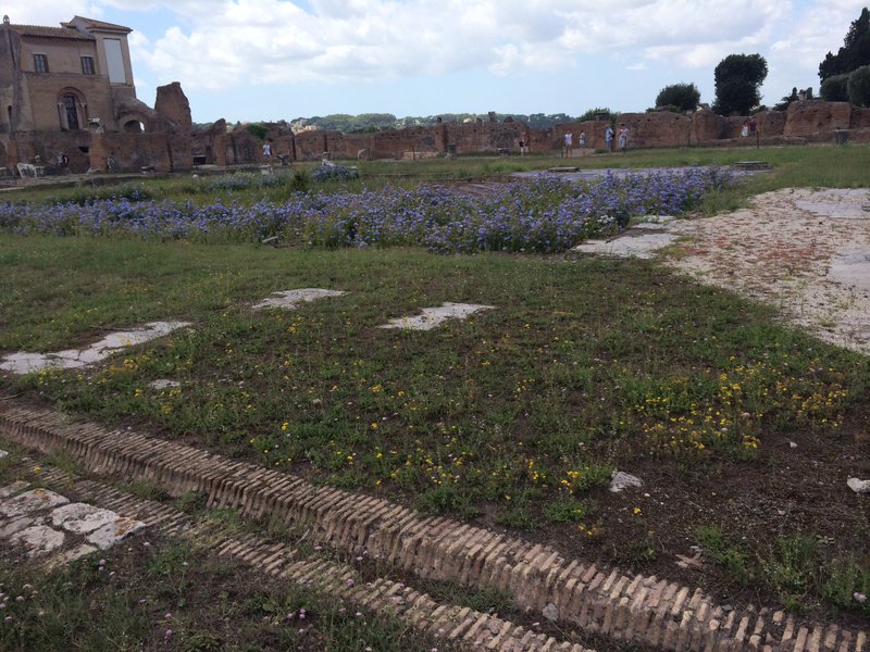 On top of Palatine Hill