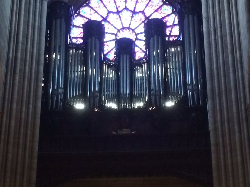 A glorious organ