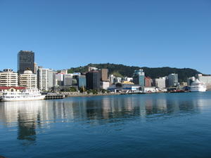 wellington in the morning