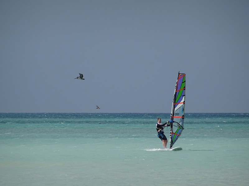 Aruba Windsurfen 3