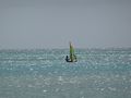 Aruba Windsurfen 4