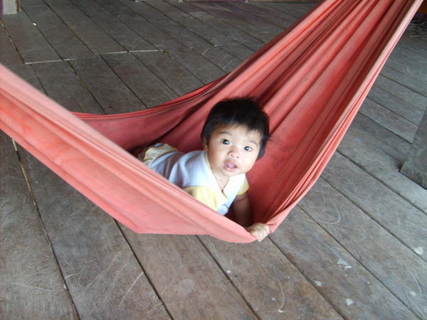 Baby in a hammok