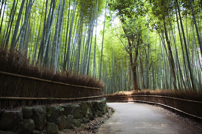 Arashiyama 