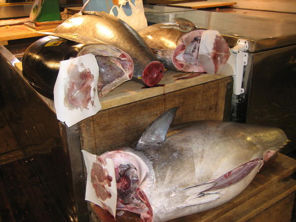 Stocks of fish at Tsukiji Fish market