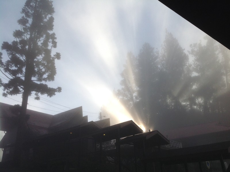 Sunrise through the mist