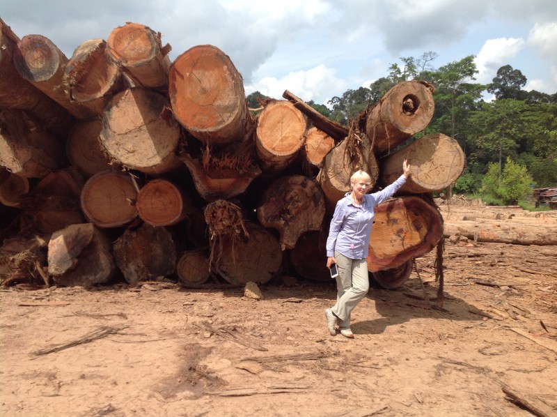 Massive logs awaiting uplift by purchaser