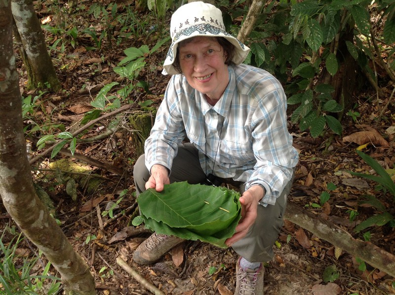 Ruth with a rainforest dish