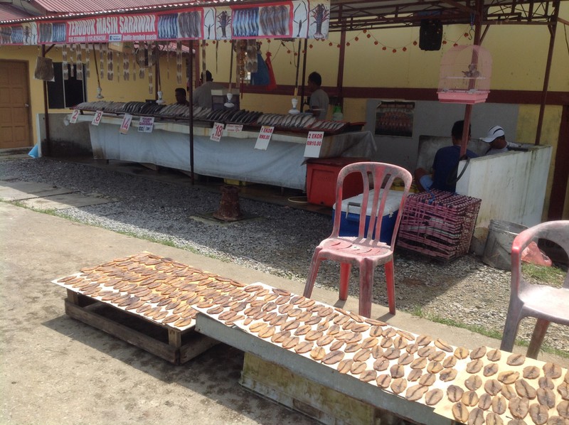 Roadside fish stall with fans to keep it cool
