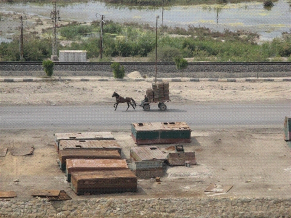 Horse and cart along the Suez