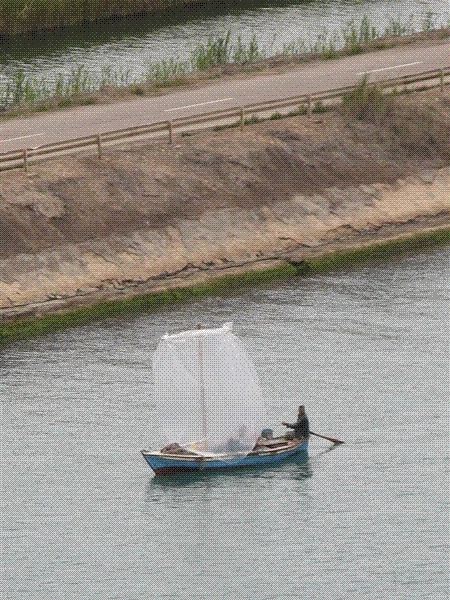 A local "sailboat"