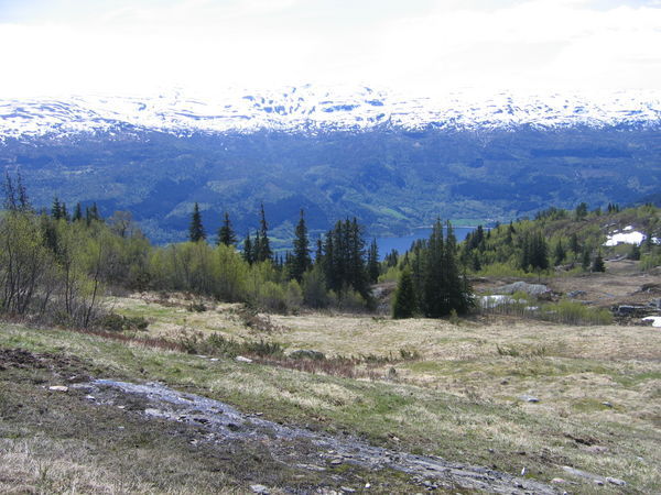 Fjords aplenty