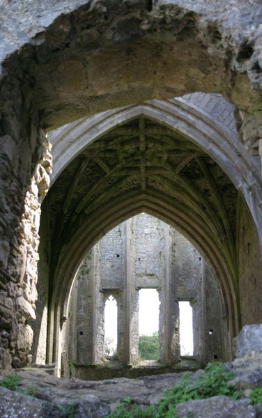 inside Hoare Abbey