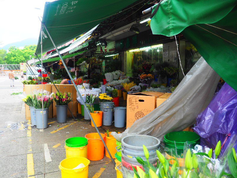 Beginning of Flower Market