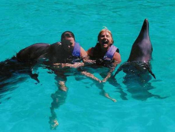 Swimming with dolphins!